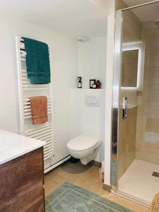 Apartment Domaine L'ariondaz 1650, T2 *